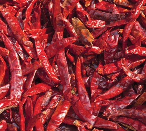 Dry Chilli
