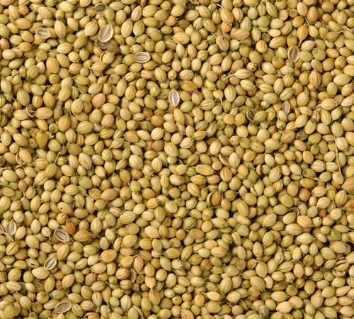Coriander Seeds