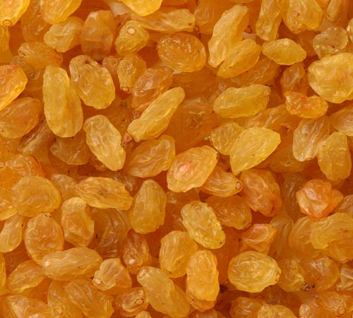 Golden Raisin