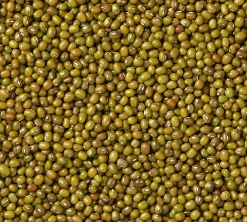 Green Mung Beans